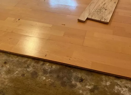Verschimmelter Holzboden